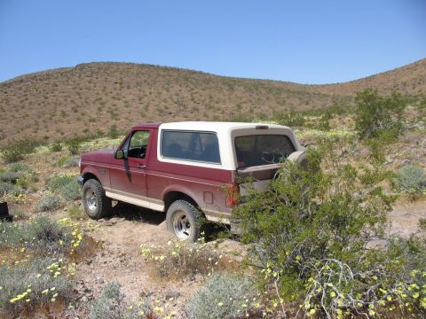 1992 Ford Bronco photo