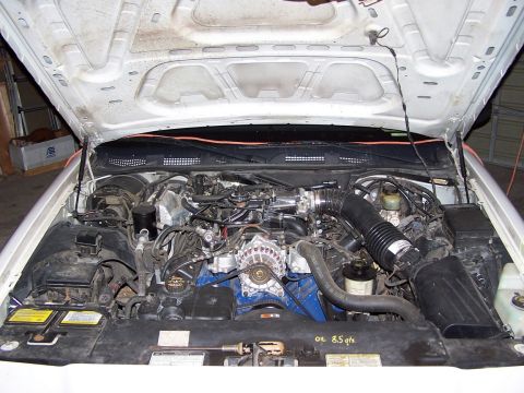 Engine Bay Shots - 2000 Ford Crown Victoria