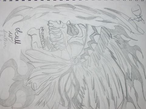 1980 Ford Bronco - This is a drawing of a skull with wings and flames, not a 1980 Ford Bronco.