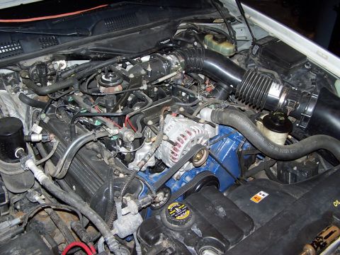 2000 Ford Crown Victoria - Engine bay of a Ford V8 showing blue valve covers, a chrome alternator, black air intake tubing and the brake master cylinder reservoir.