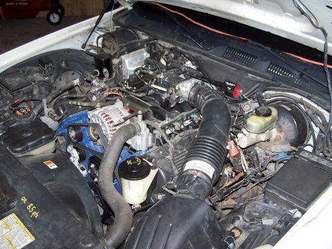 2000 Ford Crown Victoria - Engine compartment of a Ford with a blue-painted block, chrome air intake, alternator, large intake hose, brake booster and reservoirs.