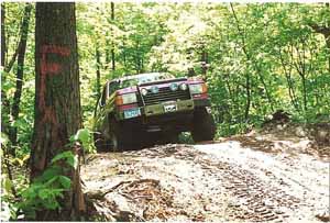 2002 Oldsmobile Aurora - Off-road vehicle navigates a challenging dirt trail surrounded by trees.