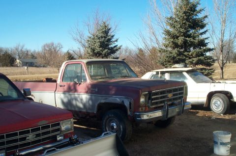 1984 Ford Bronco - Three vehicles are parked outdoors on a sunny day, with trees and a house in the background.