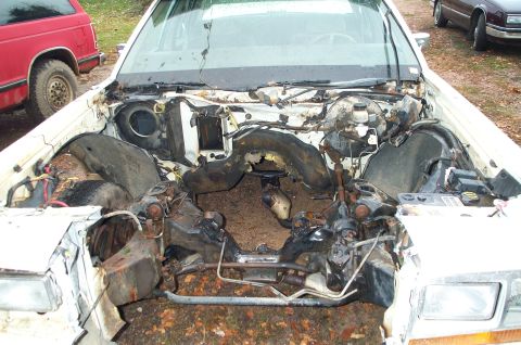 1984 Ford Bronco - The engine bay of a white car is empty, revealing the chassis and surrounding components.