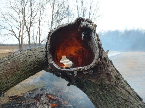 2006 Ford E350 - Brad's tree on fire. It was an accident. Barn fire was on purpose.
