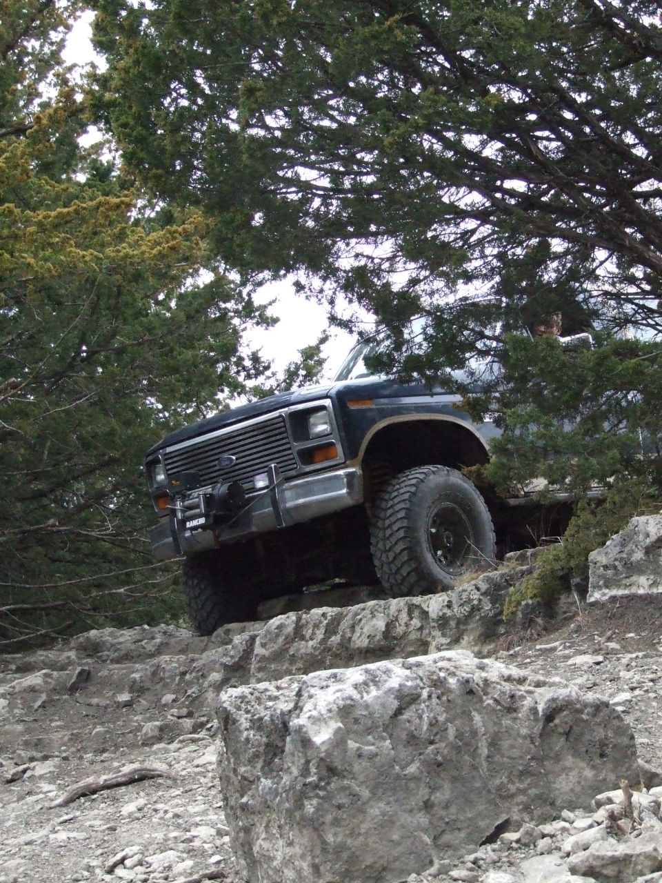Dark blue Ford Bronco climbing over rocks on a trail, trees overhead