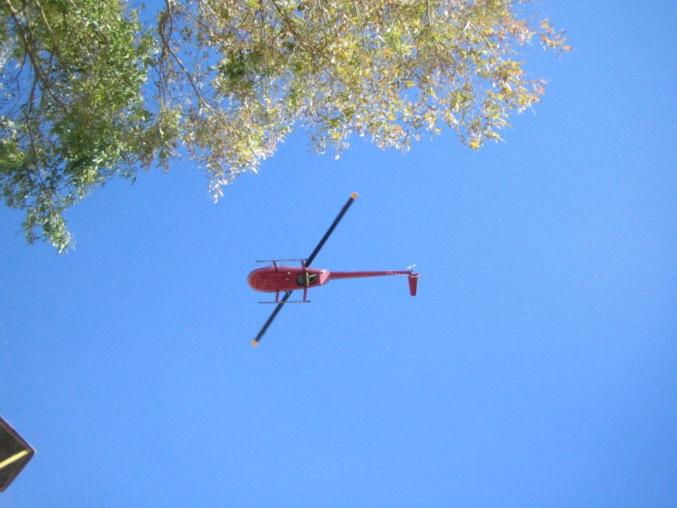 Red helicopter flying in a clear blue sky framed by tree branches