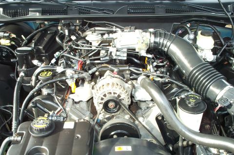 1998 Ford Crown Victoria - The engine bay of a Ford Crown Victoria displays its V8 engine components, including the alternator and air intake.