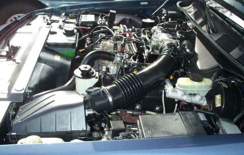 1998 Ford Crown Victoria - Engine bay of a 1998 Ford Crown Victoria, showing various components and hoses.