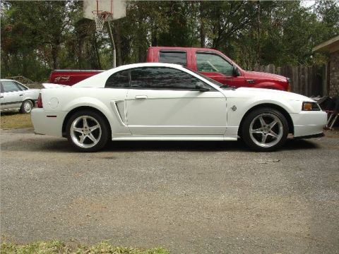 1999 Ford Mustang - A white Ford Mustang coupe is parked next to a red pickup truck, with a basketball hoop in the background.