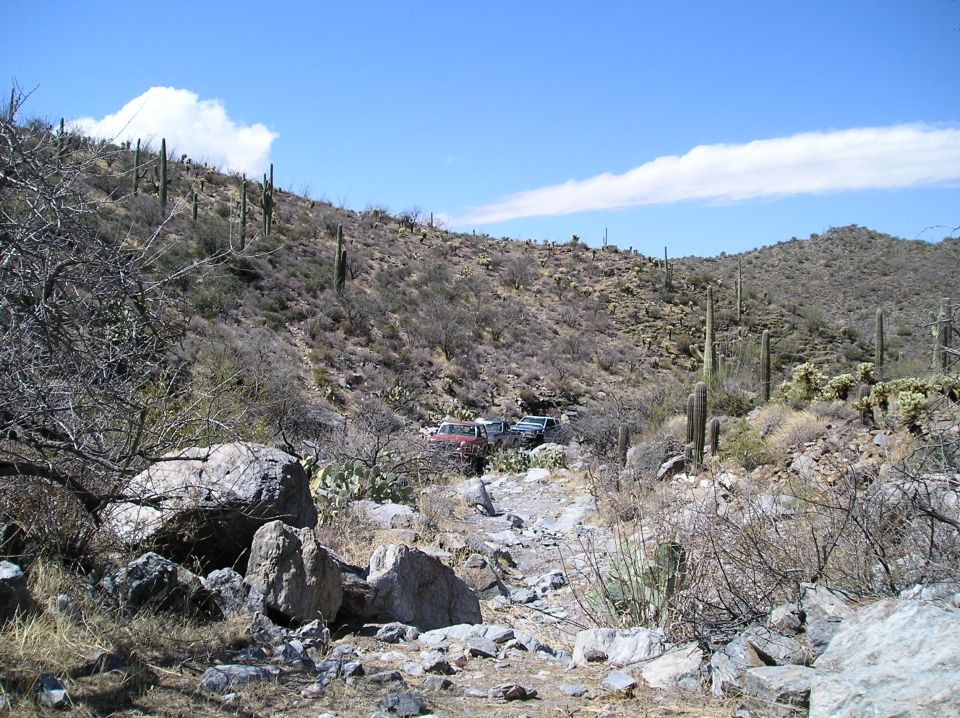 Multiple SUVs parked on a dry, rocky desert trail with saguaro cacti