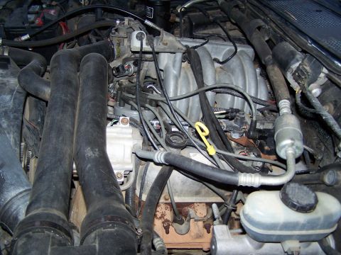 1992 Ford Bronco - Close-up of a 1992 Ford Bronco's engine bay, showing the V8 engine components and fluid reservoirs.