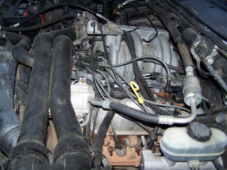1992 Ford Bronco engine bay with V8 engine, dual intake hoses, and brake fluid reservoir
