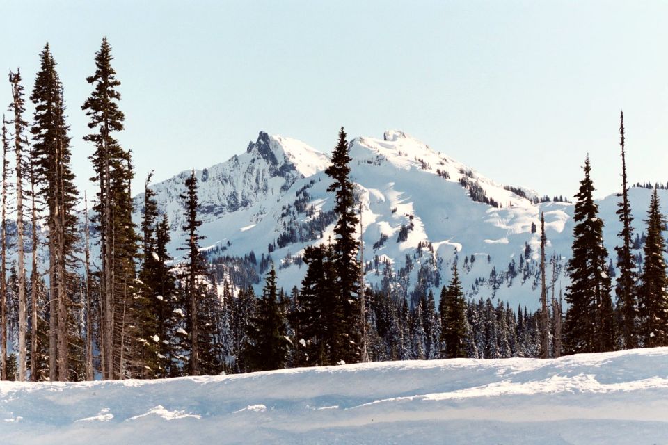 snowy mountain with pine trees and a clear blue sky. A watermark says "SUPERMOTORS www.supermotors.net"