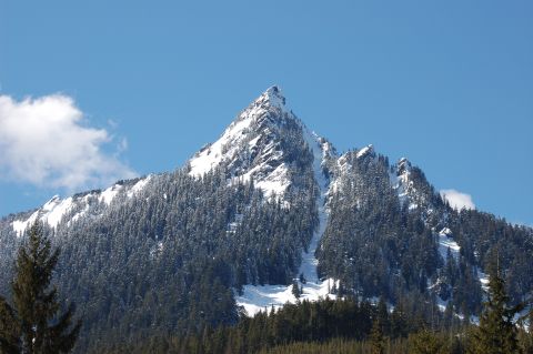 2001 Ford Taurus - A snow-capped mountain rises above a dense forest under a clear blue sky.