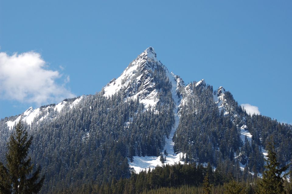 snowy mountain peak with pine trees below, blue sky with a few clouds, supermotors.net logo in corner