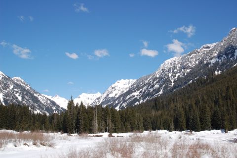 2001 Ford Taurus - A vast winter landscape unfolds with snow-capped mountains and dense pine forests under a clear blue sky.