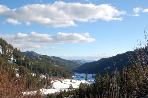 2001 Ford Taurus - A scenic view of a snow-covered valley with dense pine forests and a clear sky above.