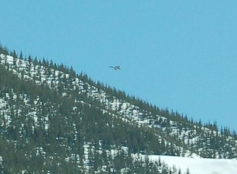 2001 Ford Taurus - A jet airplane is visible in the sky above a mountain covered in trees and snow.