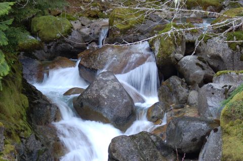 2001 Ford Taurus - A forest scene with a waterfall flowing over rocks.