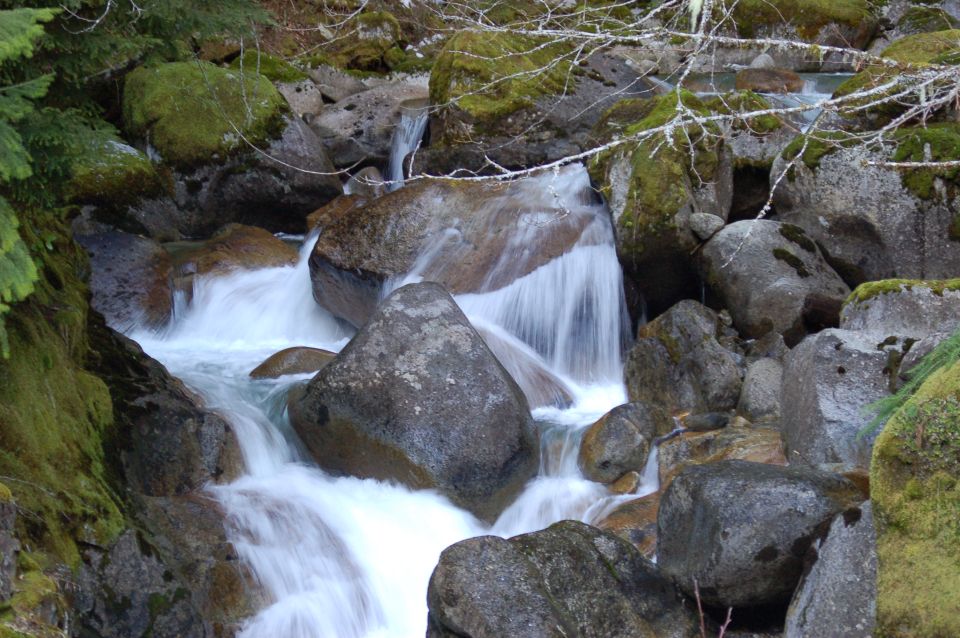 waterfall cascading over moss-covered rocks in a forest setting