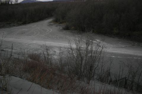 2003 Jeep TJ - Tire tracks mark a path through a desolate, treed landscape, suggesting recent vehicle activity.