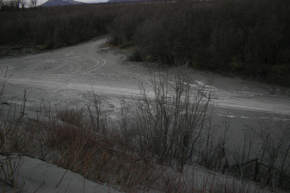 tire tracks on a dirt road going through a wooded area with bare trees