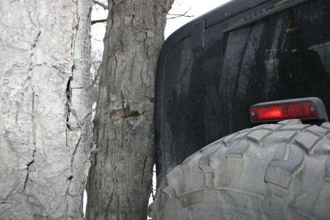 2003 Jeep TJ - A close-up view of the rear tire and taillight of a black Jeep Wrangler, partially obscured by trees.