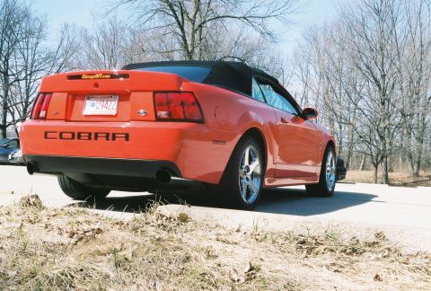 2004 Dodge SRT-4 - Rear view of an orange convertible Mustang Cobra with a black soft top. The car is parked on a paved surface.
