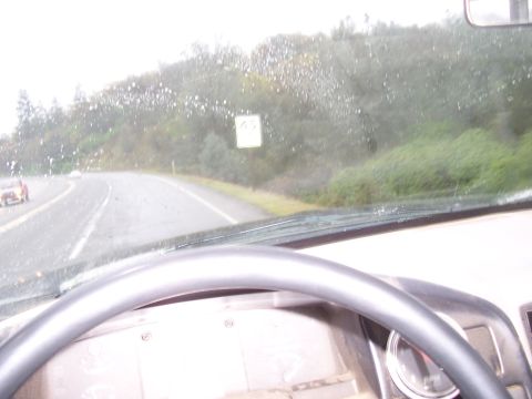 1994 Ford F-150 - Driving on a wet road with trees lining the side and a speed limit sign visible.