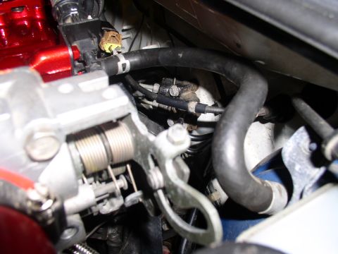 1996 Ford Probe - Engine bay detail showing throttle body assembly and various hoses connected.
