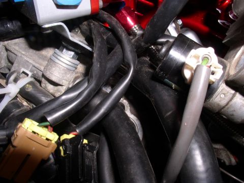 1996 Ford Probe - Close-up view of a vehicle's engine wiring harness and associated components.