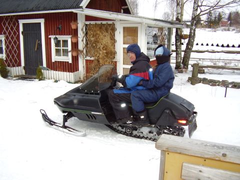 1988 Arctic Cat Cougar