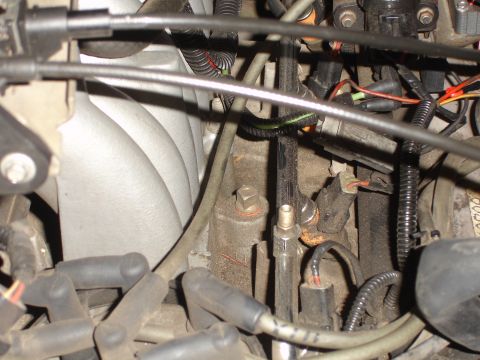 1996 Ford Bronco - Engine bay detail showing various components like spark plug wires and fuel injectors.