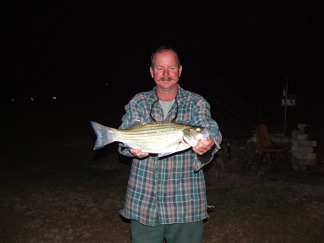 Man holding a large striped fish outdoors at night. Supermotors.net logo visible