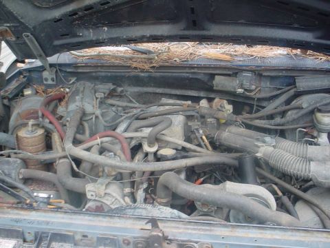 1988 Ford Bronco - Engine bay of a 1988 Ford Bronco, showing the engine and surrounding components.