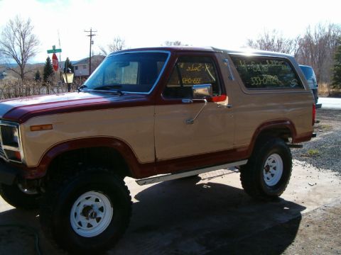 1985 Ford Bronco - This 1985 Ford Bronco is for sale, with contact information visible on the windows.