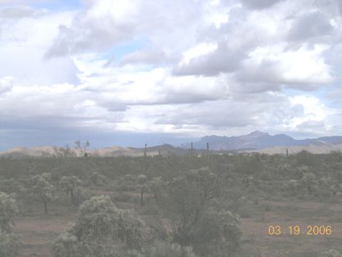 1994 Ford Bronco - A desert landscape with cacti and mountains under a cloudy sky, dated March 19, 2006.