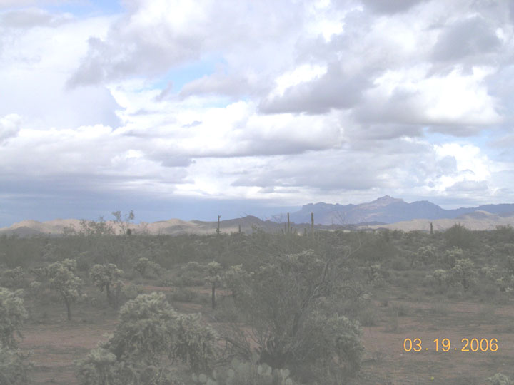 Cloudy Sonoran desert scenery with cholla cactus and distant mountains