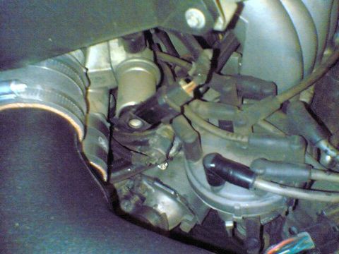 1996 Ford Bronco - Close-up view of the engine bay, focusing on the distributor cap and spark plug wires.