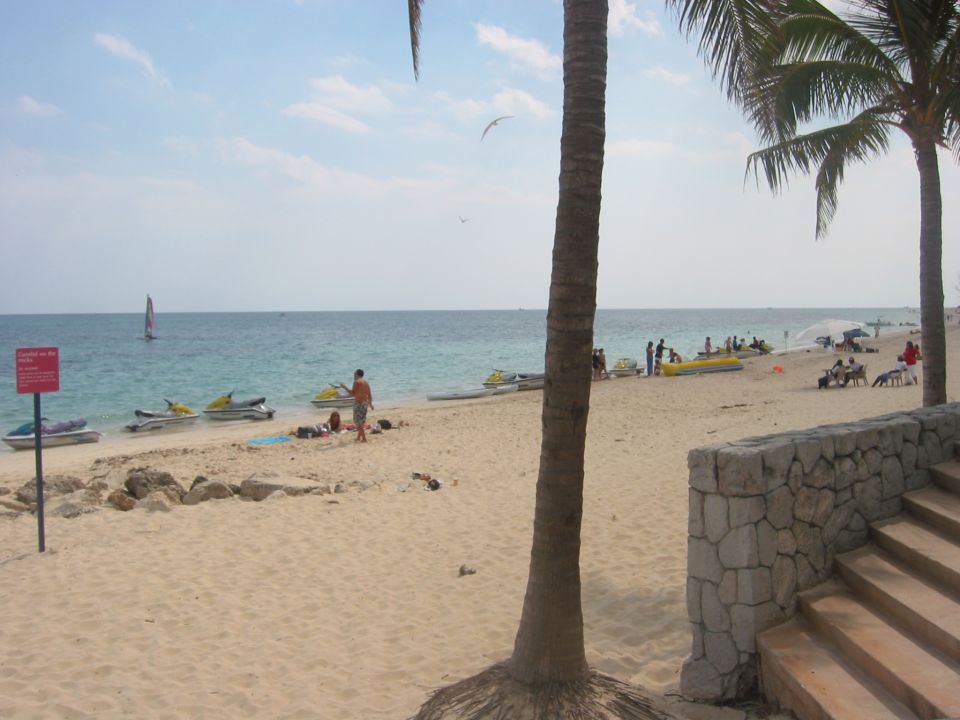 Beach scene with jet skis, palm trees, and people enjoying the water