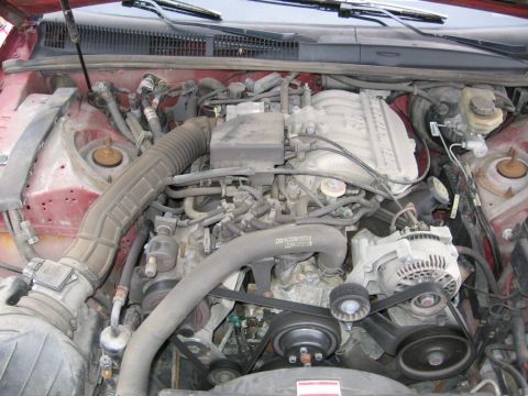 1995 Ford Thunderbird - Close-up view of a car's engine bay, showing various components like the alternator and air intake system.
