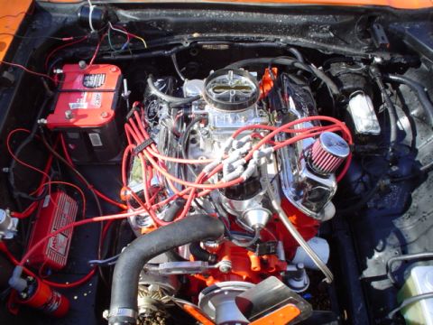 1981 Ford Bronco - Customized V8 engine bay chrome components, dual Optima batteries, and MSD ignition system.