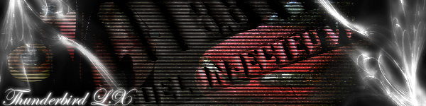 Red grille with horizontal lines and text 'Thunderbird LX'