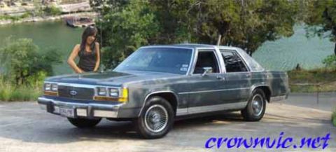 1988 Ford LTD Crown Victoria - A gray 1988 Ford Crown Victoria LTD sedan is parked outdoors near a body of water, with a woman standing beside it.