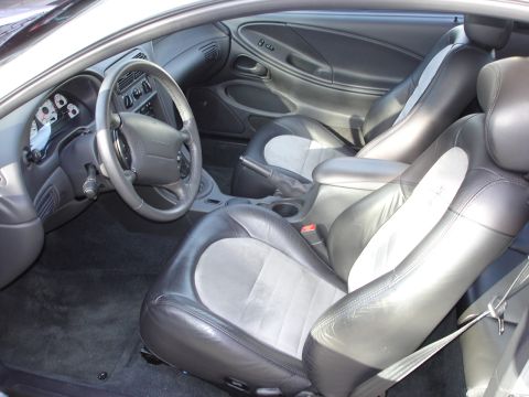1998 Ford Taurus - Interior of a 1999 Ford Mustang Cobra, two-tone leather seats and a black dashboard.
