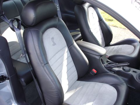 1998 Ford Taurus - The interior of a car shows black and grey leather seats with a Cobra emblem, suggesting a 2001 model year.