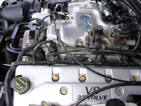 1998 Ford Taurus - Engine bay detail showing the V8 32-valve engine, identified by the Cobra emblem and 'V8 32 VALVE' text.