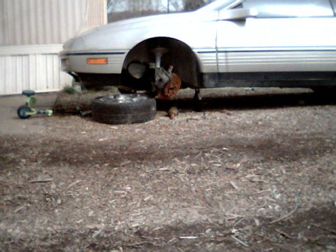1989 Ford Probe - NEED A BETTER TRANS