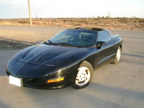 1981 Ford Mustang - A black Pontiac Firebird is parked on the side of a road with a dry, brushy landscape in the background.